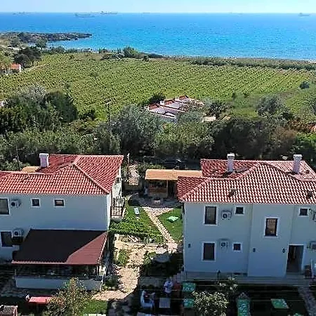 K Paralia